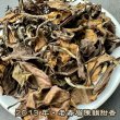 画像3: 白茶・老寿眉（2018&2013） (3)