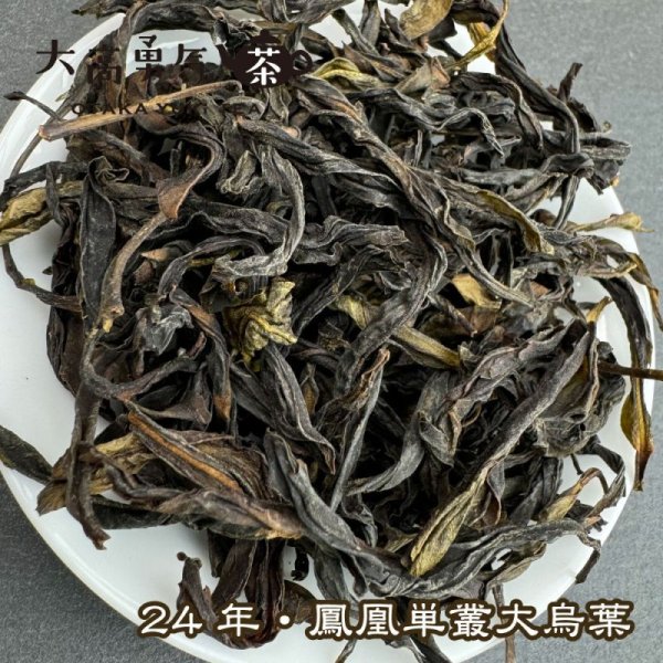画像1: 青茶・24年鳳凰単叢・大烏葉 (1)