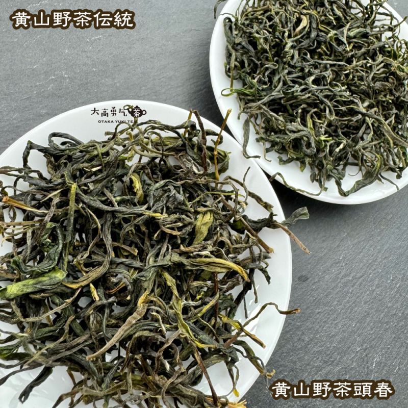 緑茶・24年黄山野茶